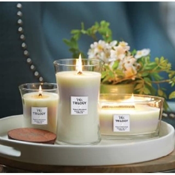 Vela aromática ELLIPSE - Rosewood - mecha de madera natural - Imagen 2